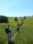 Down and up the dale Down and up the dale