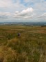 And down the hill And down the hill