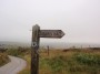 That way...... That way......