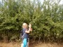 Kim was very excited to find these sloes, sloe gin at hers for Christmas! Kim was very excited to find these sloes, sloe gin at hers for Christmas!