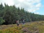 Very cheerfull whimberry/bilberry pickers. Very cheerfull whimberry/bilberry pickers.