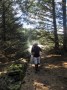 Into the forest. Into the forest.