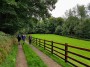 Good track and green field Good track and green field