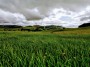 England's green and pleasant land England's green and pleasant land