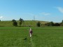  Across the fields to Cockerham