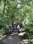 Dappled woodland Dappled woodland