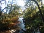 Autumn Wyre Autumn Wyre