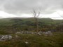 View back towards Settle View back towards Settle