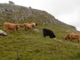 Local inhabitants Local inhabitants