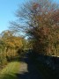 Autumn glory on the canal Autumn glory on the canal