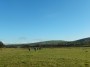 Just look at that blue sky Just look at that blue sky