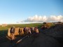 Low level sunshine now Low level sunshine now