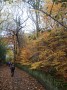 Lovely colours as we enter Nuttall Park Lovely colours as we enter Nuttall Park