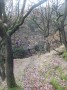 Looking back at the group still navigating the ravine Looking back at the group still navigating the ravine