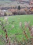 A Lancashire Lonk A Lancashire Lonk