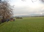 Looking back to Clitheroe Looking back to Clitheroe