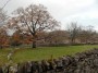 Picturesque Downham with its ducks Picturesque Downham with its ducks
