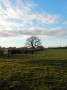 Bright skies and green fields Bright skies and green fields