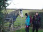 Sue liked this horse Sue liked this horse