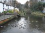 Back in Lymm Back in Lymm