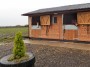 New stables for these horses New stables for these horses