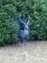 Deer oh deer Deer oh deer
