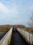 The first crossing of the motorway - not to be the last! The first crossing of the motorway - not to be the last!
