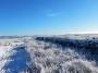 Snow and sun, great Snow and sun, great