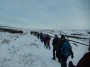 All in a line in the snow All in a line in the snow