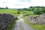 Bowland scenery Bowland scenery