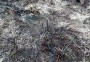 Still a lot of blackened heather from last year's fires Still a lot of blackened heather from last year's fires