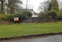 Daffodils in Rivington Village Daffodils in Rivington Village