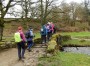 Over the Pack Horse Bridge Over the Pack Horse Bridge