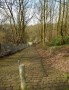 Gorses Steps, they look ok Gorses Steps, they look ok