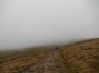 Leaving the mist and the worst of the wind behind Leaving the mist and the worst of the wind behind