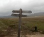Which way now? Which way now?