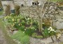 Lovely spring flowers Lovely spring flowers