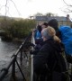 Looking at the river Looking at the river