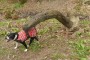 The snake got Maude! The snake got Maude!