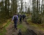 Through the woods at Healey Nab Through the woods at Healey Nab