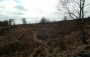 Still evidence of last years fires Still evidence of last years fires