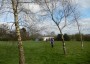 At Bibby's farm At Bibby's farm