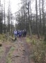 Through the woods Through the woods