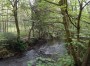 The River Douglas The River Douglas