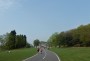 The main drive at Haigh The main drive at Haigh