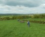 Onto the fields Onto the fields