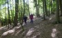Coming back through the woods to Ramsbottom Coming back through the woods to Ramsbottom