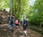 Fabulous woodland walking Fabulous woodland walking