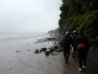 Walking into Arnside Walking into Arnside