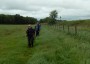 Along the fields Along the fields